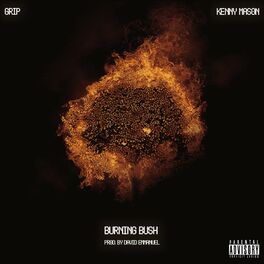 Album cover of Burning Bush (feat. Kenny Mason)