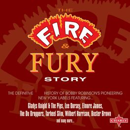 Album cover of The Fire & Fury Story