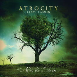 Album cover of After The Storm