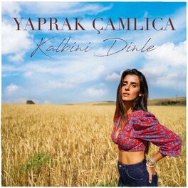 Album cover of Kalbini Dinle