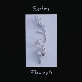 Album cover of Flowers 5