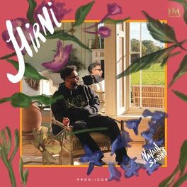Album cover of Hirni