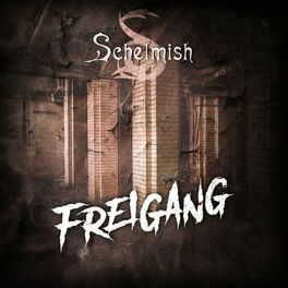 Album cover of Freigang