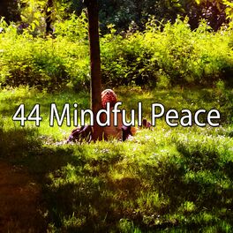 Album cover of 44 Mindful Peace
