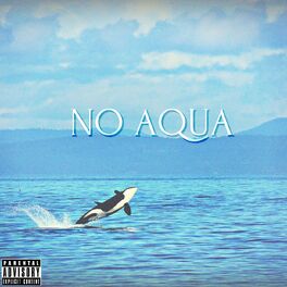 Album cover of No Aqua