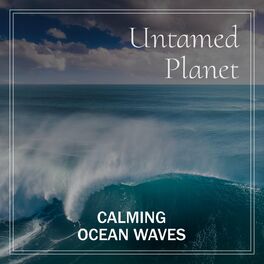 Album cover of Calming Ocean Waves