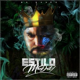 Album cover of ESTILO MANDRIL