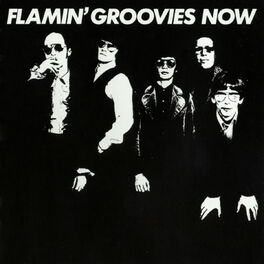 Album cover of Flamin' Groovies Now