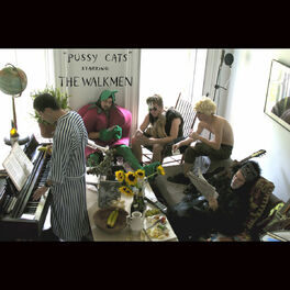 Album cover of Pussy Cats Starring The Walkmen (U.S. Version)