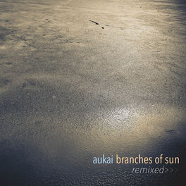 Album cover of Branches of Sun Remixed