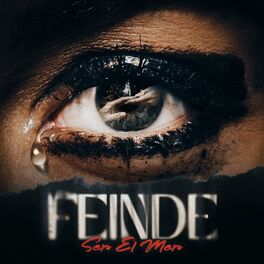 Album cover of Feinde
