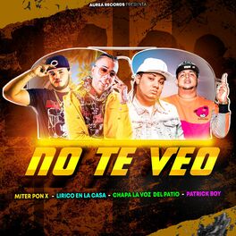 Album cover of No Te Veo (feat. Lirico En La Casa, Patrick Boy & Chapa La Voz Del Patio)