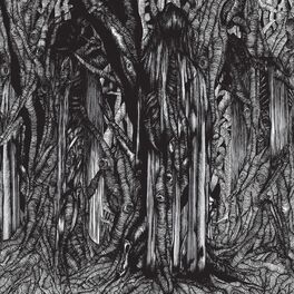 Album cover of Black One