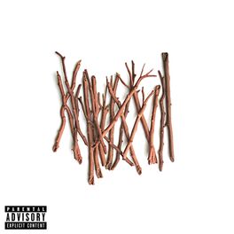 Album cover of Sticks (feat. Kennessy)