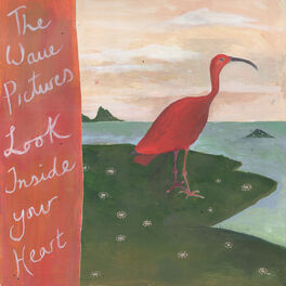 Album cover of Look Inside Your Heart