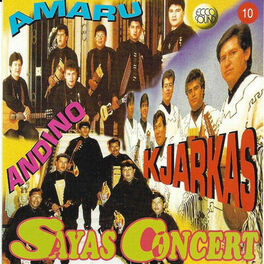 Album cover of Sayas Concert