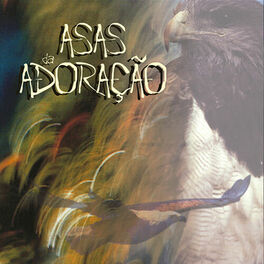 Album cover of Asas da Adoração