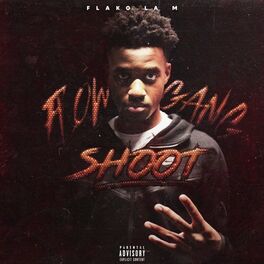Album cover of Flow Gang Shoot