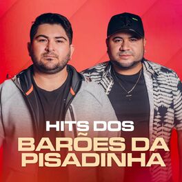 Album cover of Hits dos Barões da Pisadinha