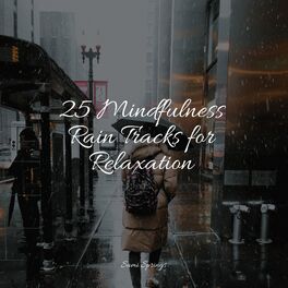 Album cover of 25 Zen Meditation Rain Sounds