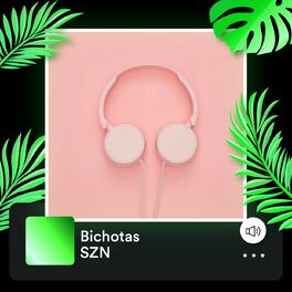 Album cover of Bichotas SZN