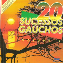 Album cover of 20 Sucessos Gaúchos, Vol. 1