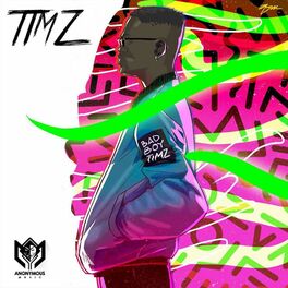 Album cover of Timz