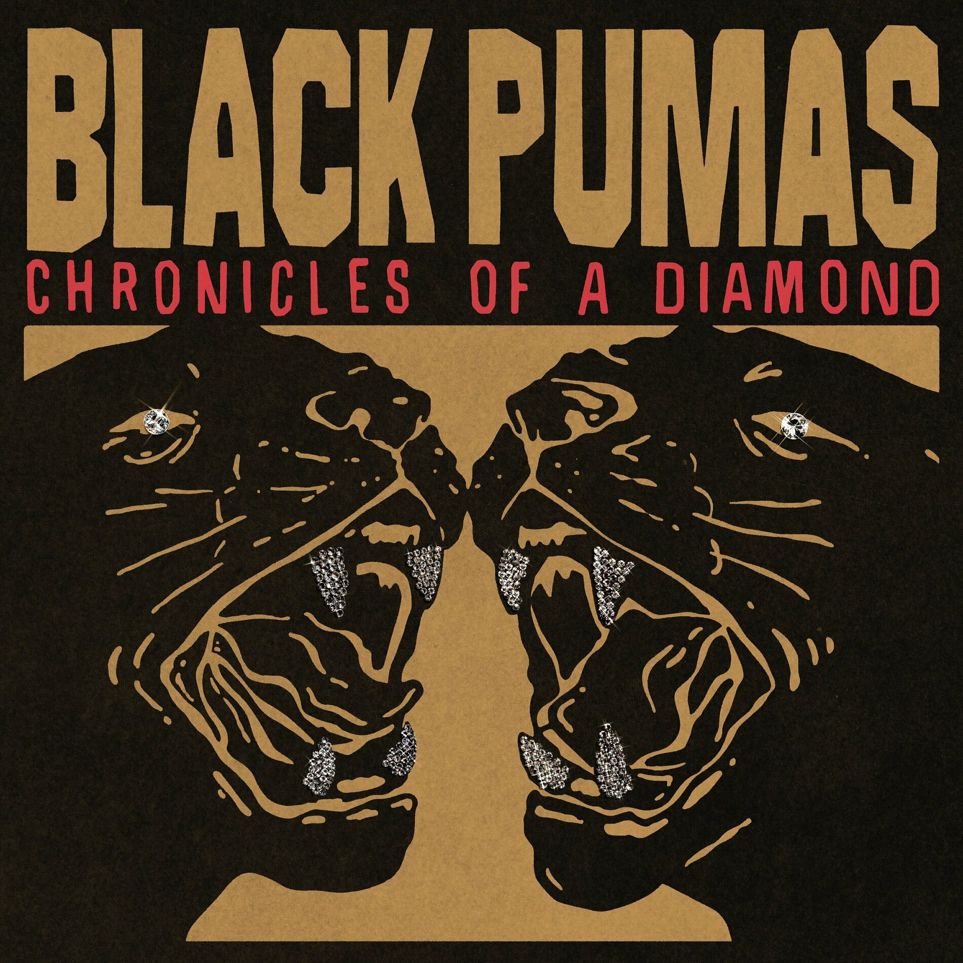 Black pumas colors lyrics hotsell