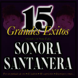 Album cover of 15 Grandes Éxitos