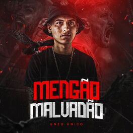 Album cover of Mengão Malvadão