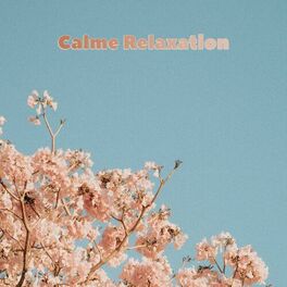 Album cover of Calme relaxation