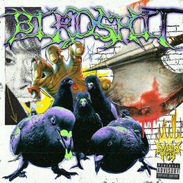 Album cover of Bird Shit
