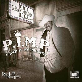 Album cover of P.I.M.P. Paper IS MY Priority