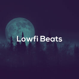 Album cover of Lowfi Beats