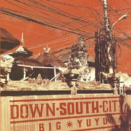 Album cover of Down South City