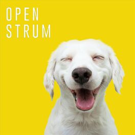 Album cover of Open Strum