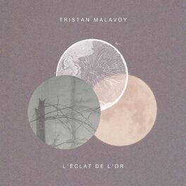 Album picture of L'éclat de l'or
