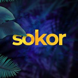 Album cover of Sokor