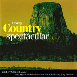Album cover of Country Spectacular, Vol. 3