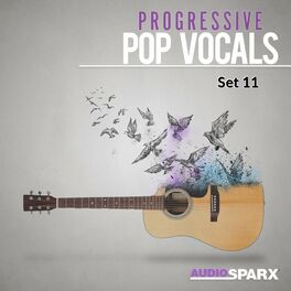 Album cover of Progressive Pop Vocals, Set 11