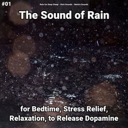 Album cover of #01 The Sound of Rain for Bedtime, Stress Relief, Relaxation, to Release Dopamine
