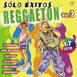 Album cover of Sólo Éxitos Reggaeton, Vol. 2