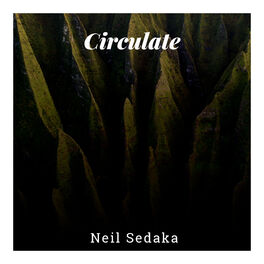 Album cover of Circulate