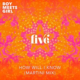Album cover of How Will I Know (Martini Mix)
