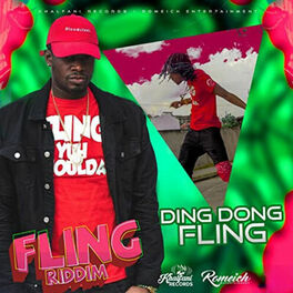 Album cover of Fling
