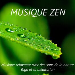 Album cover of Musique zen – Musique relaxante avec des sons de la nature, yoga et la méditation
