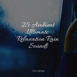 Album cover of 25 Ambient Ultimate Relaxation Rain Sounds