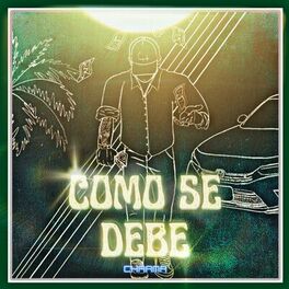 Album cover of Como se Debe