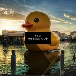 Album cover of Wash My Duck