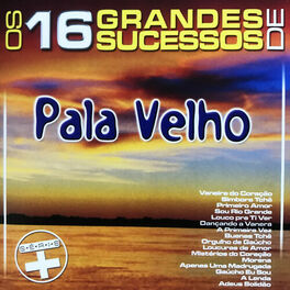 Album cover of Os 16 Grandes Sucessos de Pala Velho - Série +